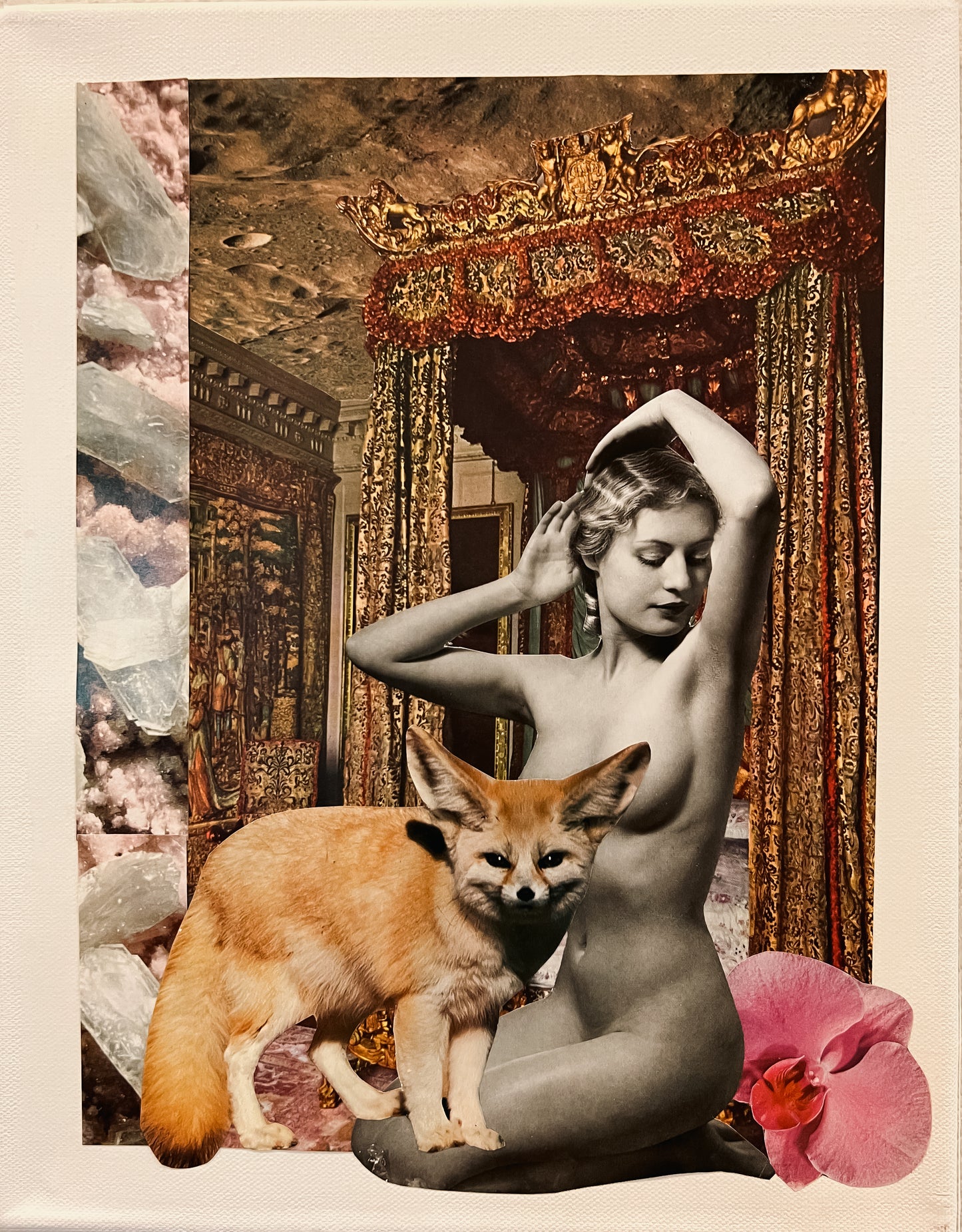ROYAL FOX 11x14 Collage