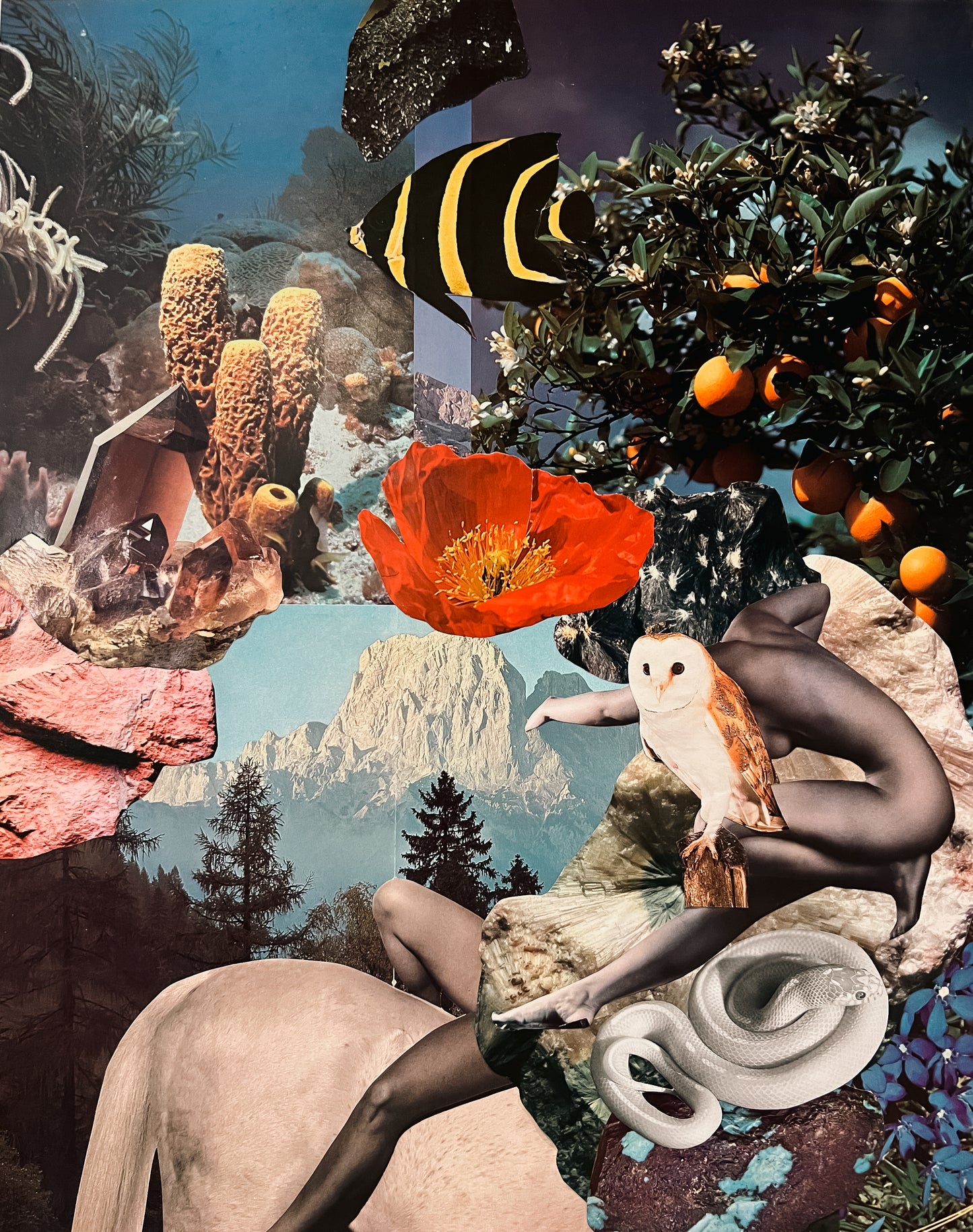 AQUARIAN 16x20 Collage
