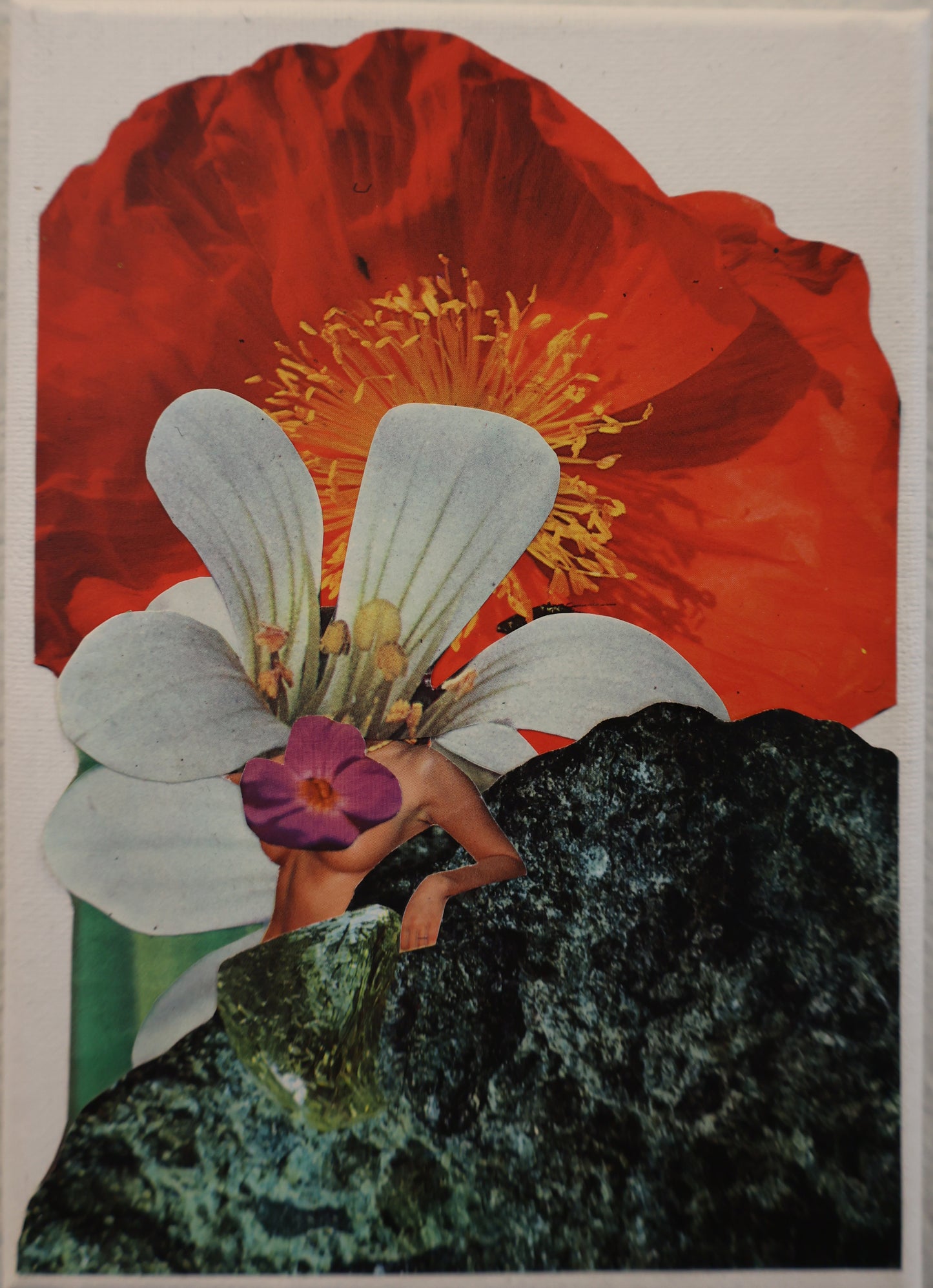 SHOW GIRL 5x7 Collage