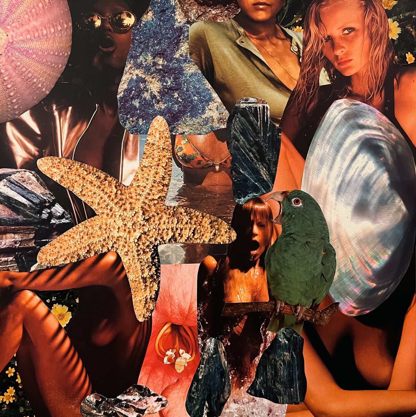 OCEAN BODIES 20x20 Collage