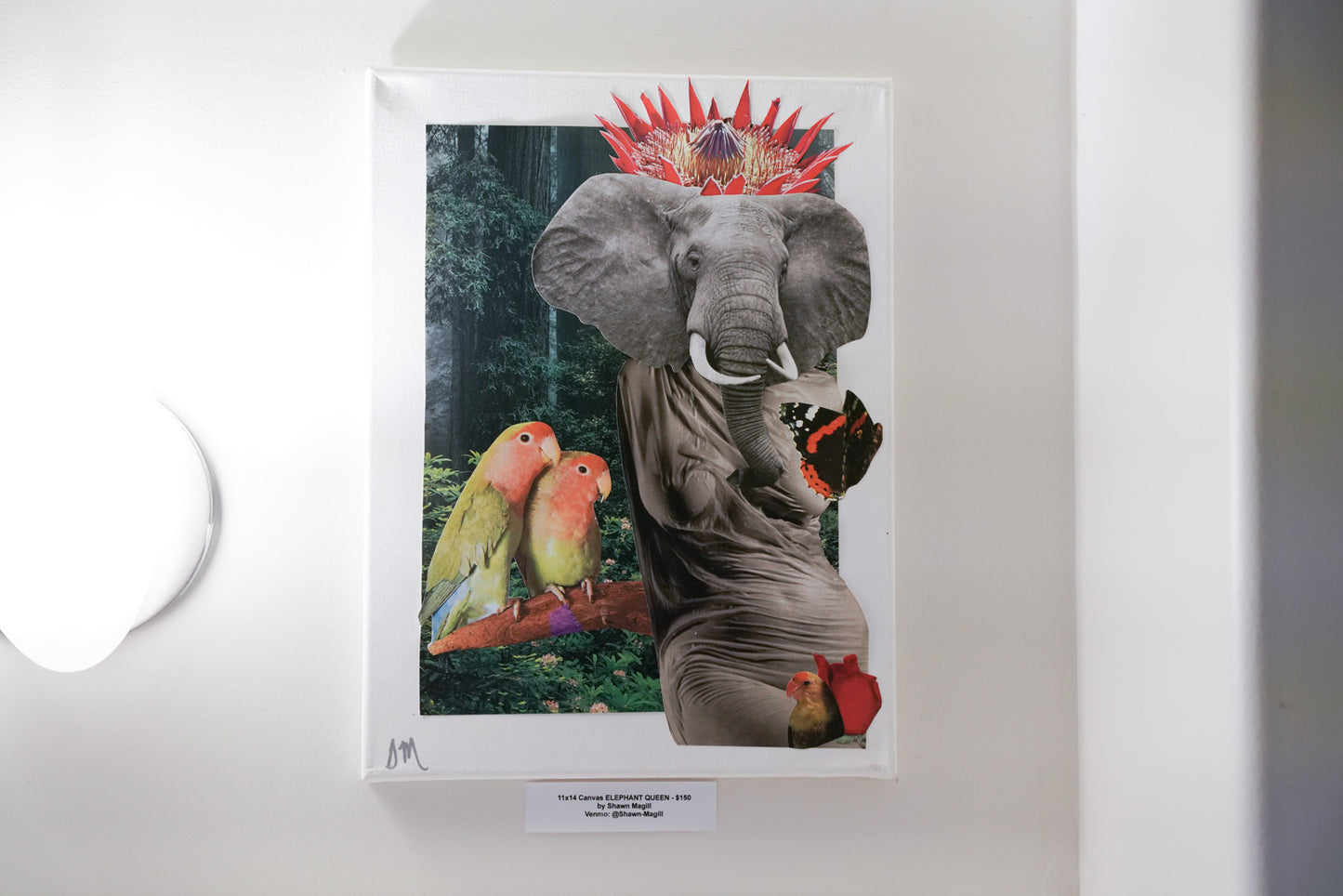 ELEPHANT QUEEN 11x14 Collage