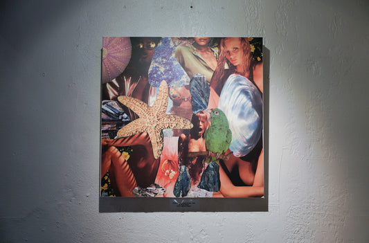 OCEAN BODIES 20x20 Collage