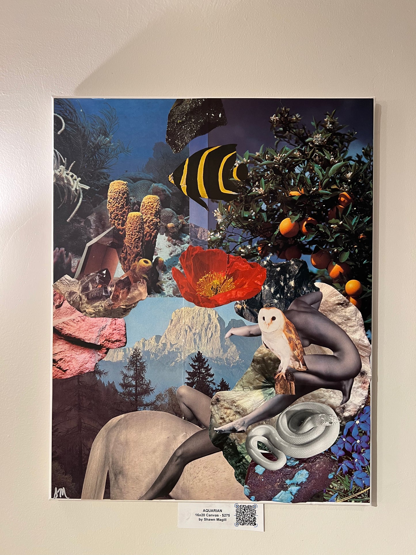 AQUARIAN 16x20 Collage