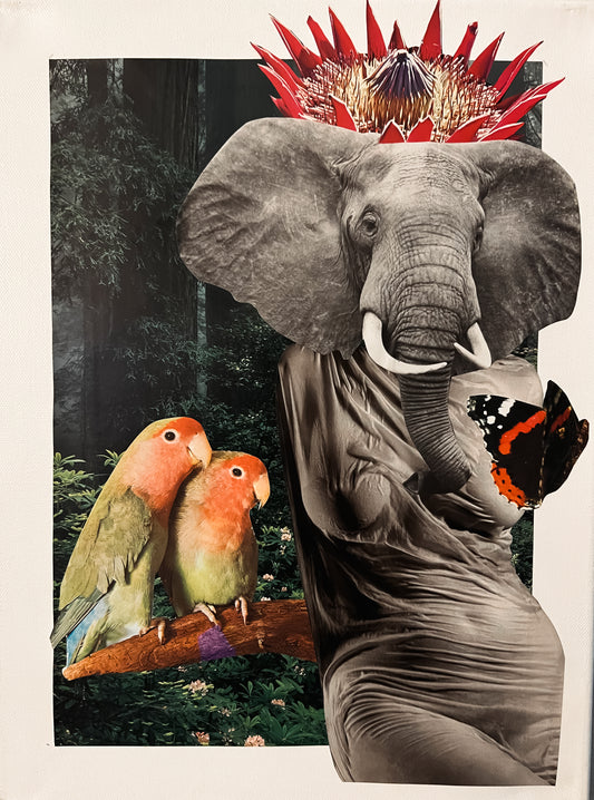ELEPHANT QUEEN 11x14 Collage