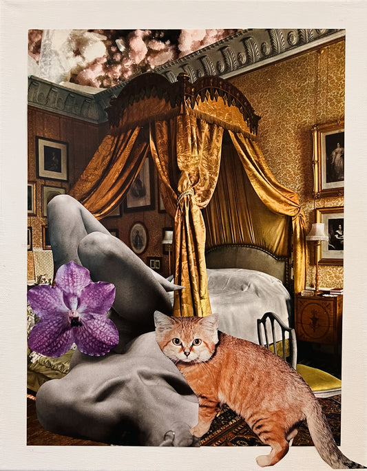 ROYAL CAT 11x14 Collage