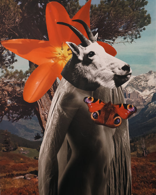 GOAT QUEEN 8x10 Collage