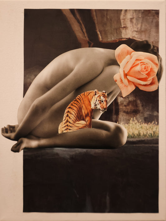 TIGER DREAM 9x12 Collage