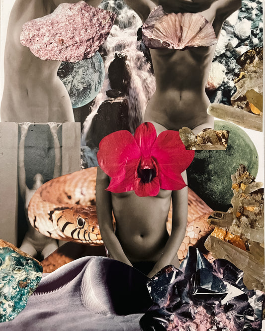MOON BODIES 16x20 Collage